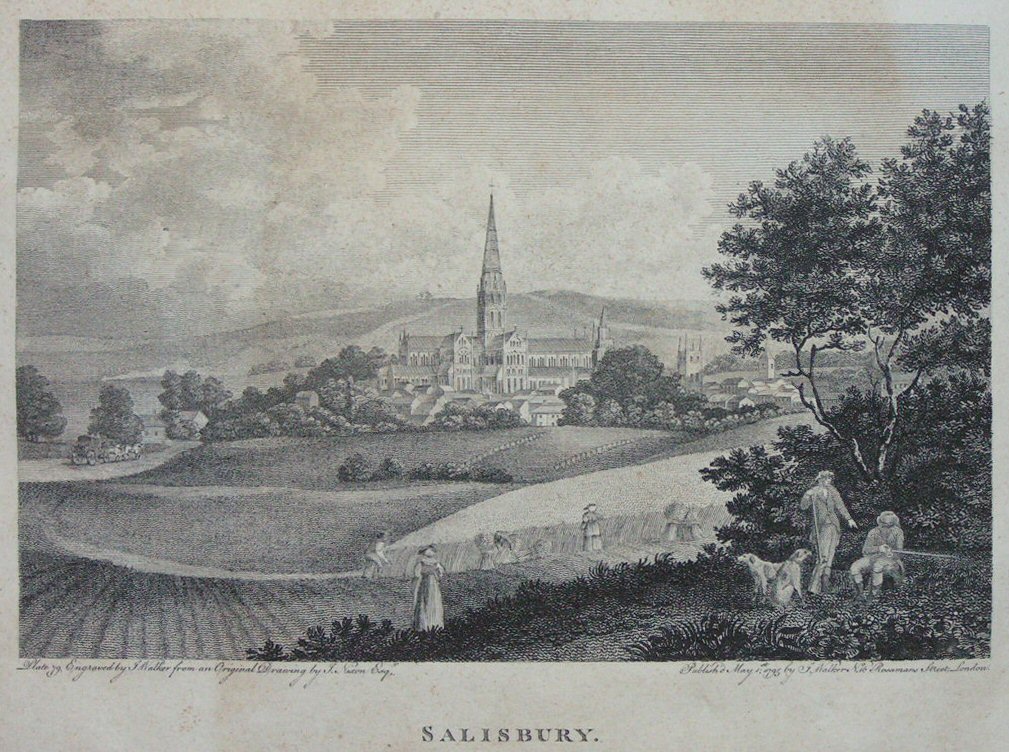 Print - Salisbury - Walker